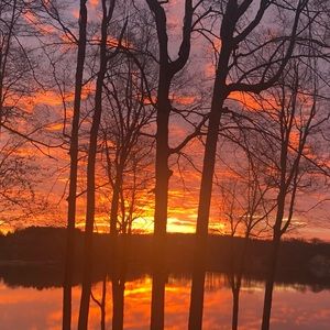 Meet your Posher, Cassie